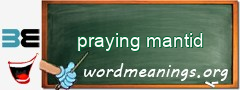 WordMeaning blackboard for praying mantid